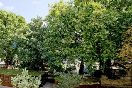 ukc50gjlpfsfmneogaij.jpg
